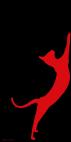 ORIENTAL-Rouge ORIENTAL Rose Chat oriental Showroom - Inkjet sur plexi, éditions limitées, numérotées et signées .Peinture animalière Art et décoration.Images multiples, commandez au peintre Thierry Bisch online